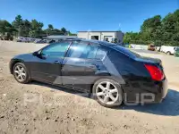 2004 Nissan MAXIMA фото