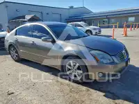 2004 Nissan MAXIMA фото
