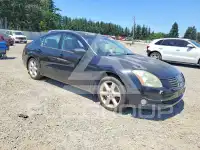 2004 Nissan MAXIMA фото