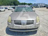 2004 Nissan MAXIMA photo
