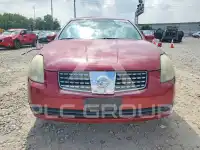 2004 Nissan MAXIMA photo