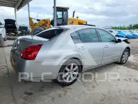 2004 Nissan MAXIMA photo