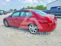 2004 Nissan MAXIMA photo