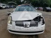 2004 Nissan MAXIMA фото