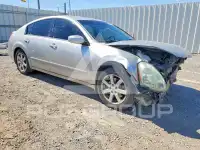 2004 Nissan MAXIMA фото