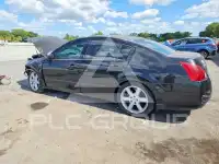 2004 Nissan MAXIMA фото