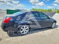 2004 Nissan MAXIMA фото