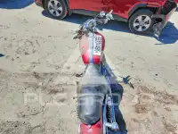 2004 Harley-Davidson XL883 фото