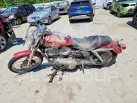 2004 Harley-Davidson XL883 фото