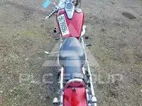 2004 Kawasaki VULCAN 800 фото