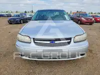 2004 Chevrolet Malibu фото