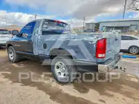 2004 Dodge RAM фото