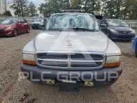 2004 Dodge DAKOTA photo