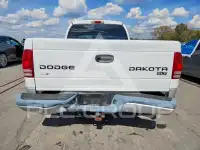 2004 Dodge DAKOTA photo
