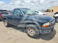 2004 Dodge DAKOTA photo