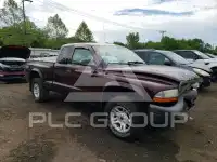 2004 Dodge DAKOTA photo