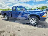 2004 Dodge DAKOTA photo