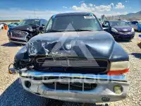 2004 Dodge DAKOTA photo