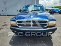 2004 Dodge DAKOTA photo