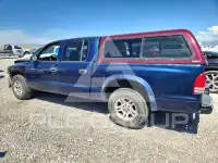 2004 Dodge DAKOTA photo