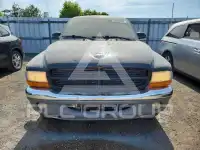 2004 Dodge DAKOTA photo