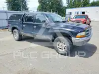 2004 Dodge DAKOTA фото
