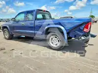 2004 Dodge DAKOTA photo