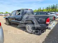2004 Dodge DAKOTA photo