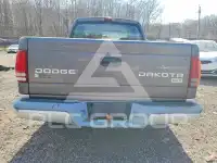 2004 Dodge DAKOTA photo