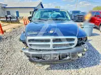 2004 Dodge DAKOTA photo