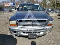 2004 Dodge DAKOTA photo
