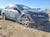 2004 Acura TSX фото