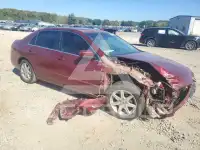 2004 Honda Accord photo