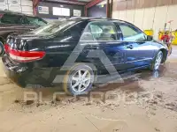 2004 Honda Accord photo