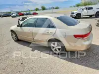 2004 Honda Accord photo