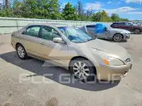 2004 Honda Accord photo