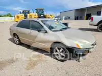2004 Honda Accord photo