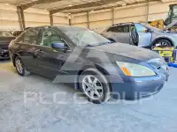 2004 Honda Accord фото