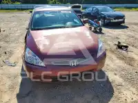 2004 Honda Accord photo