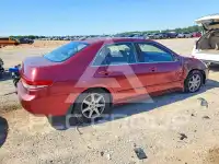 2004 Honda Accord photo