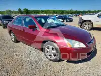 2004 Honda Accord фото