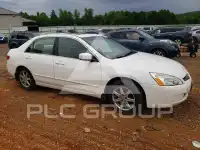 2004 Honda Accord photo