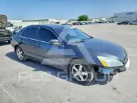 2004 Honda Accord photo