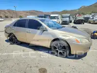 2004 Honda Accord фото
