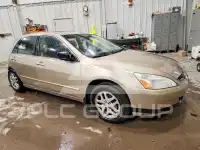 2004 Honda Accord photo