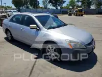 2004 Honda Accord photo