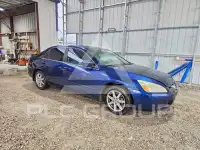 2004 Honda Accord photo