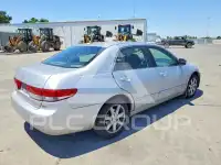 2004 Honda Accord photo