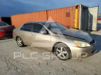 2004 Honda Accord photo