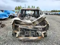 2004 Honda ELEMENT photo